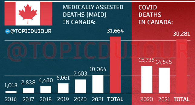 Medical harm